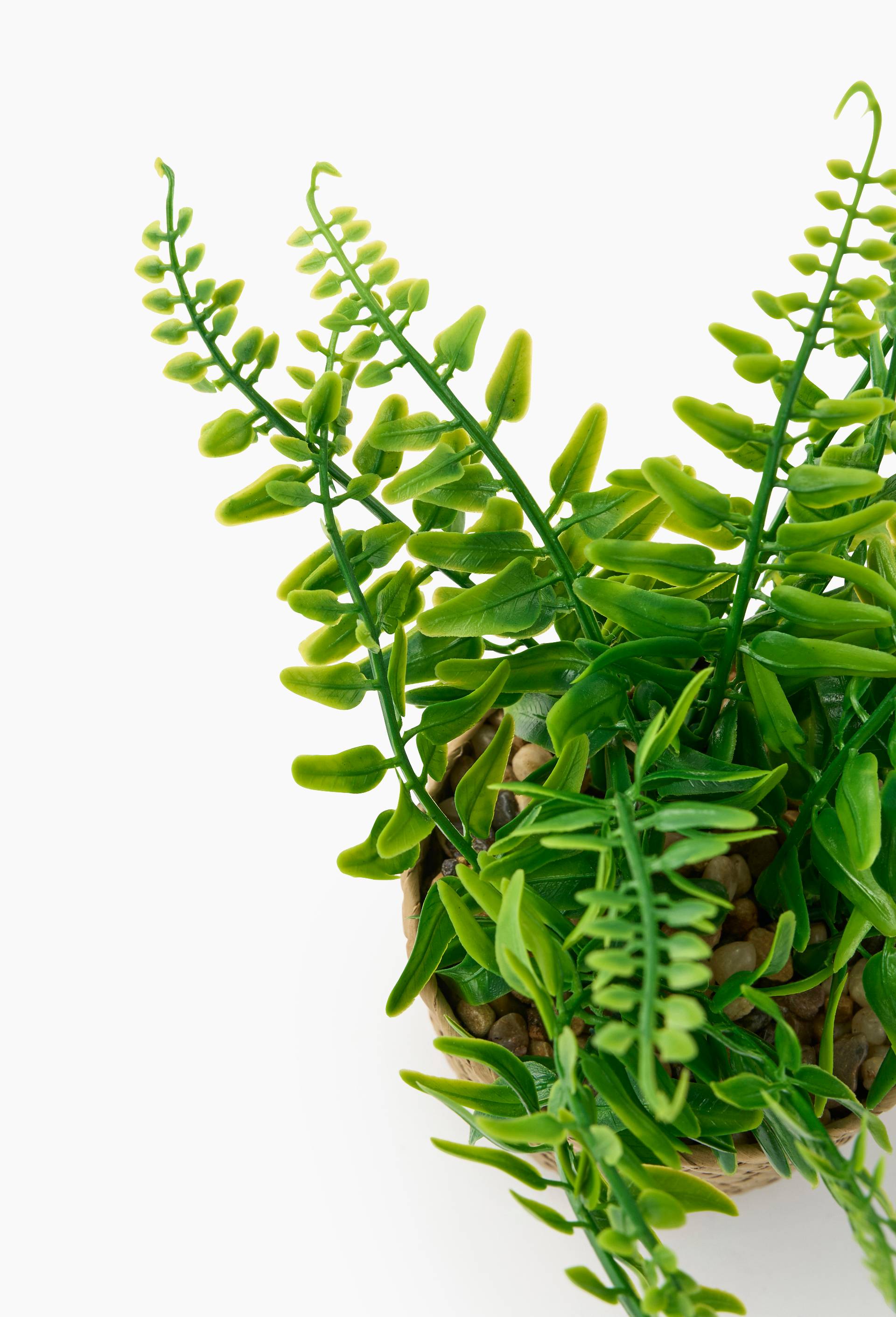 Plante artificielle foug&egrave;res dans un panier tress&eacute;, 39x29x20 cm, en plastique et rotin, Vert fonc&eacute;, large image number 1