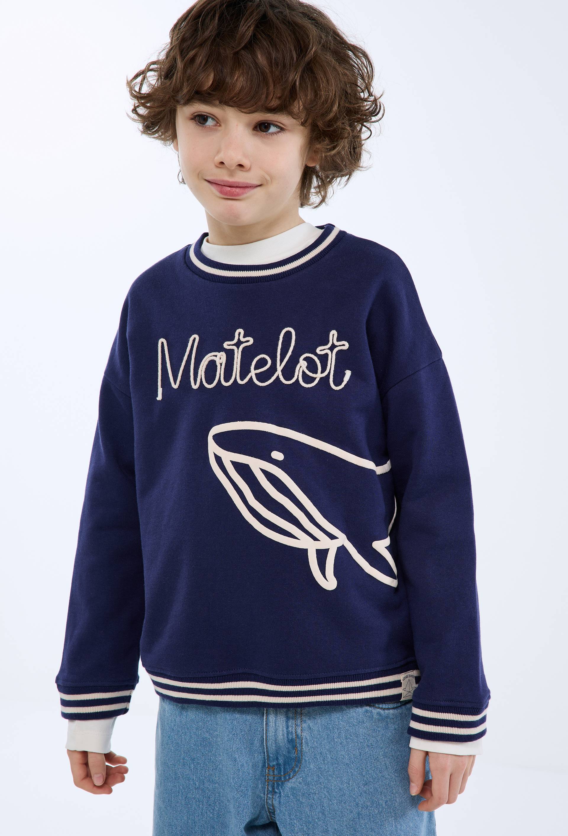 Sweat col rond imprim&eacute; en coton BIO GOTS, Bleu fonc&eacute;, large image number 1.0