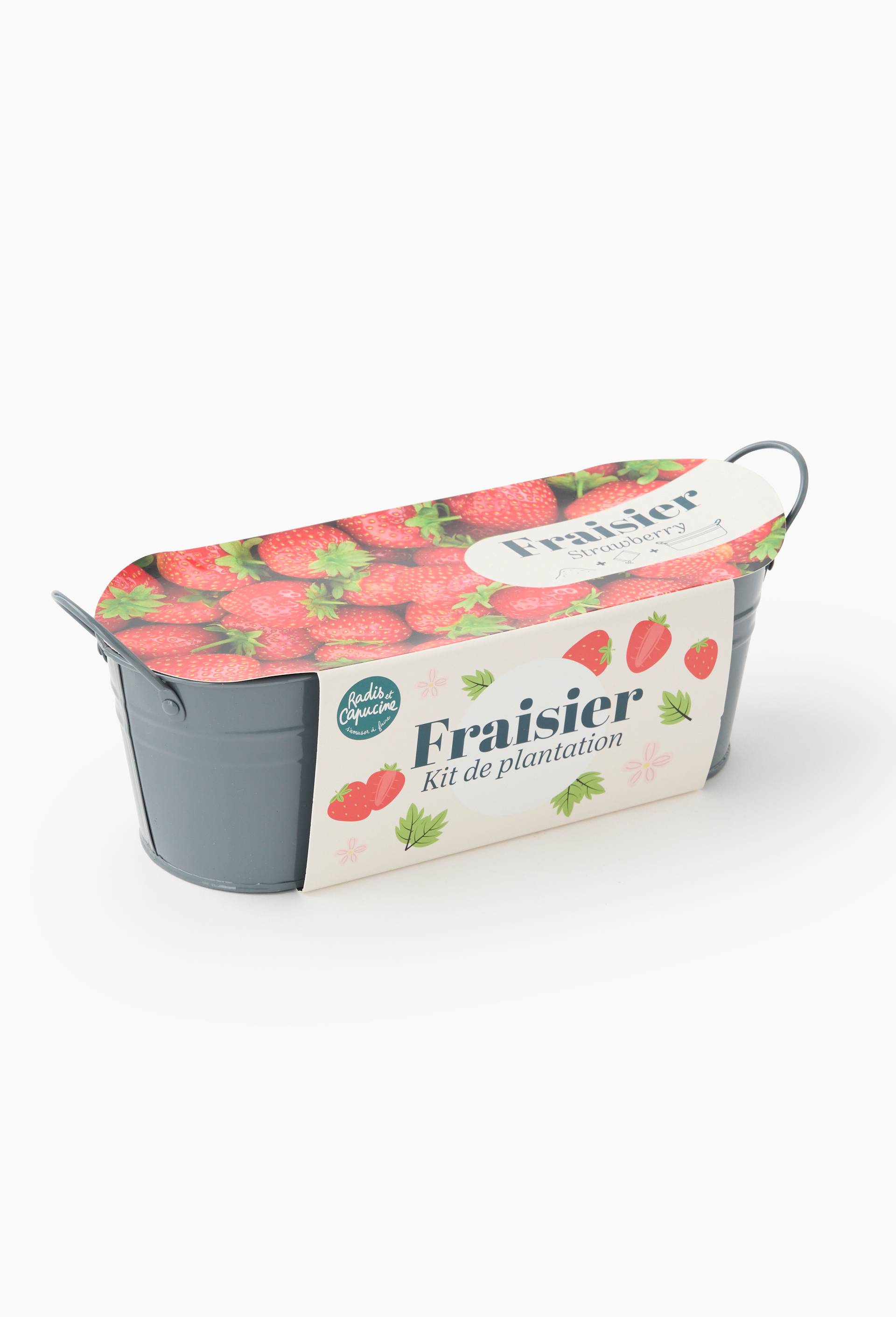 Jardini&egrave;re noire pour fraisier, 30 cm, en zinc, Beige clair, large image number 0.0
