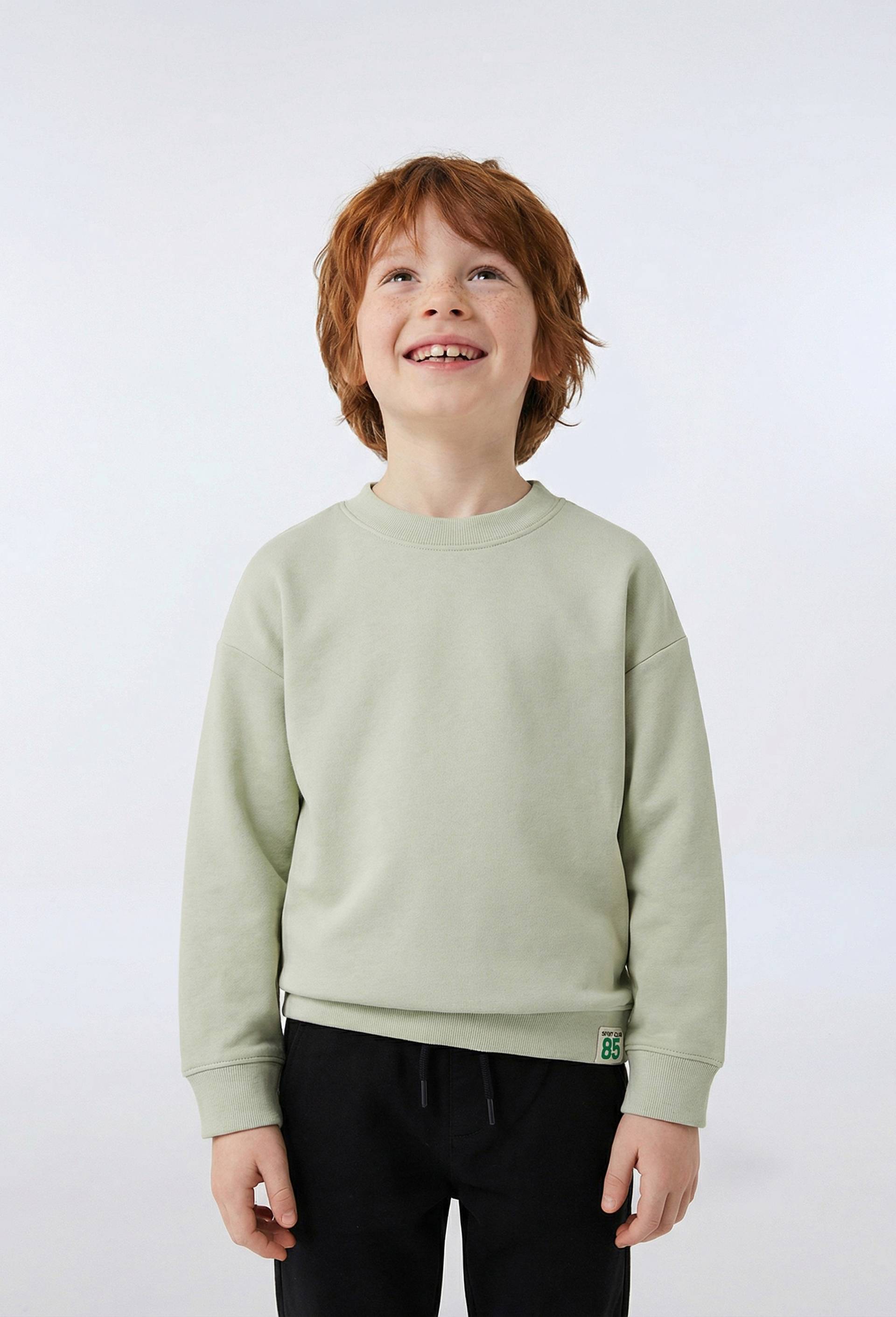 Sweat uni en coton BIO GOTS, Vert clair, swatch image