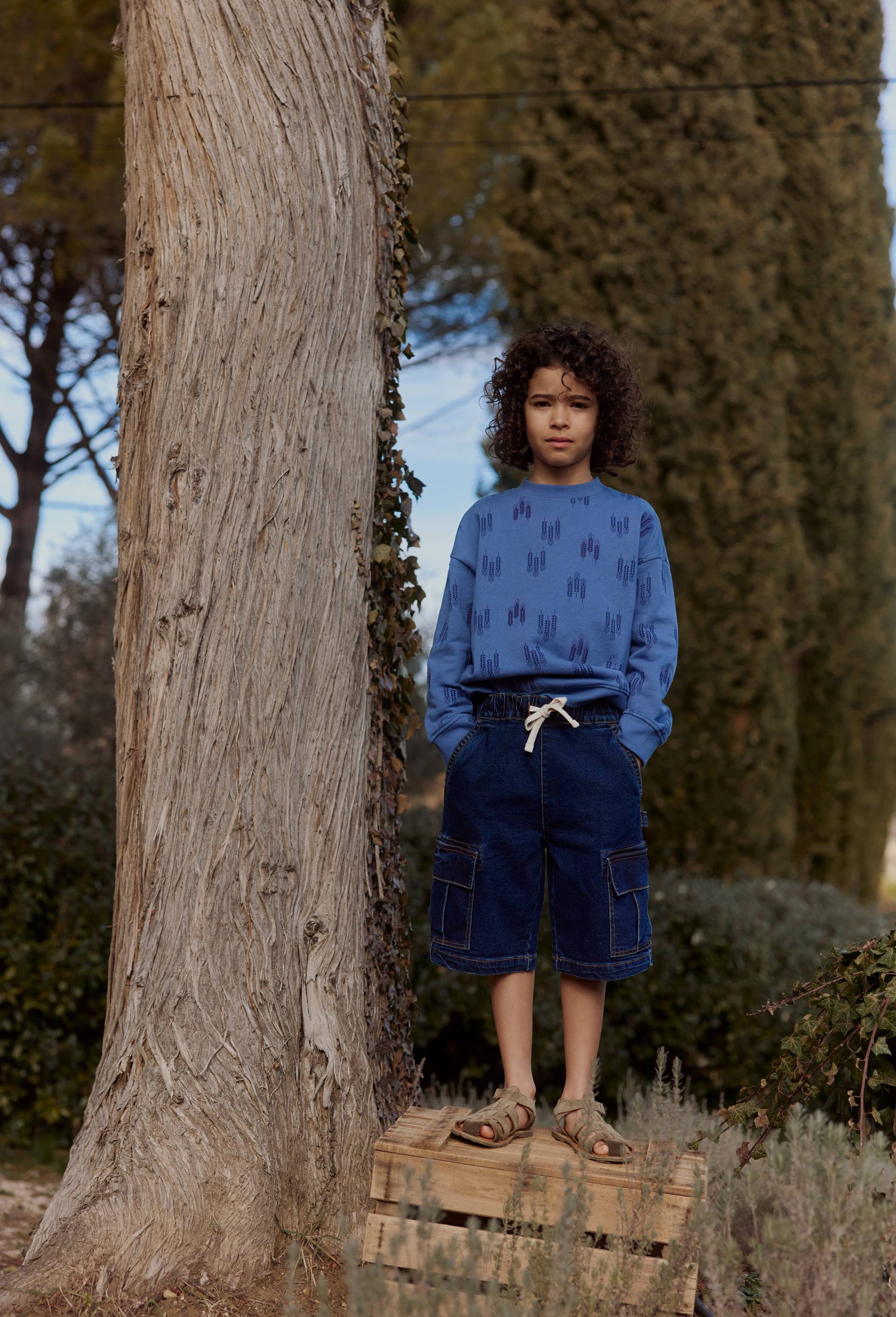 Sweat col rond imprim&eacute; en coton BIO GOTS, Bleu, large image number 0.0