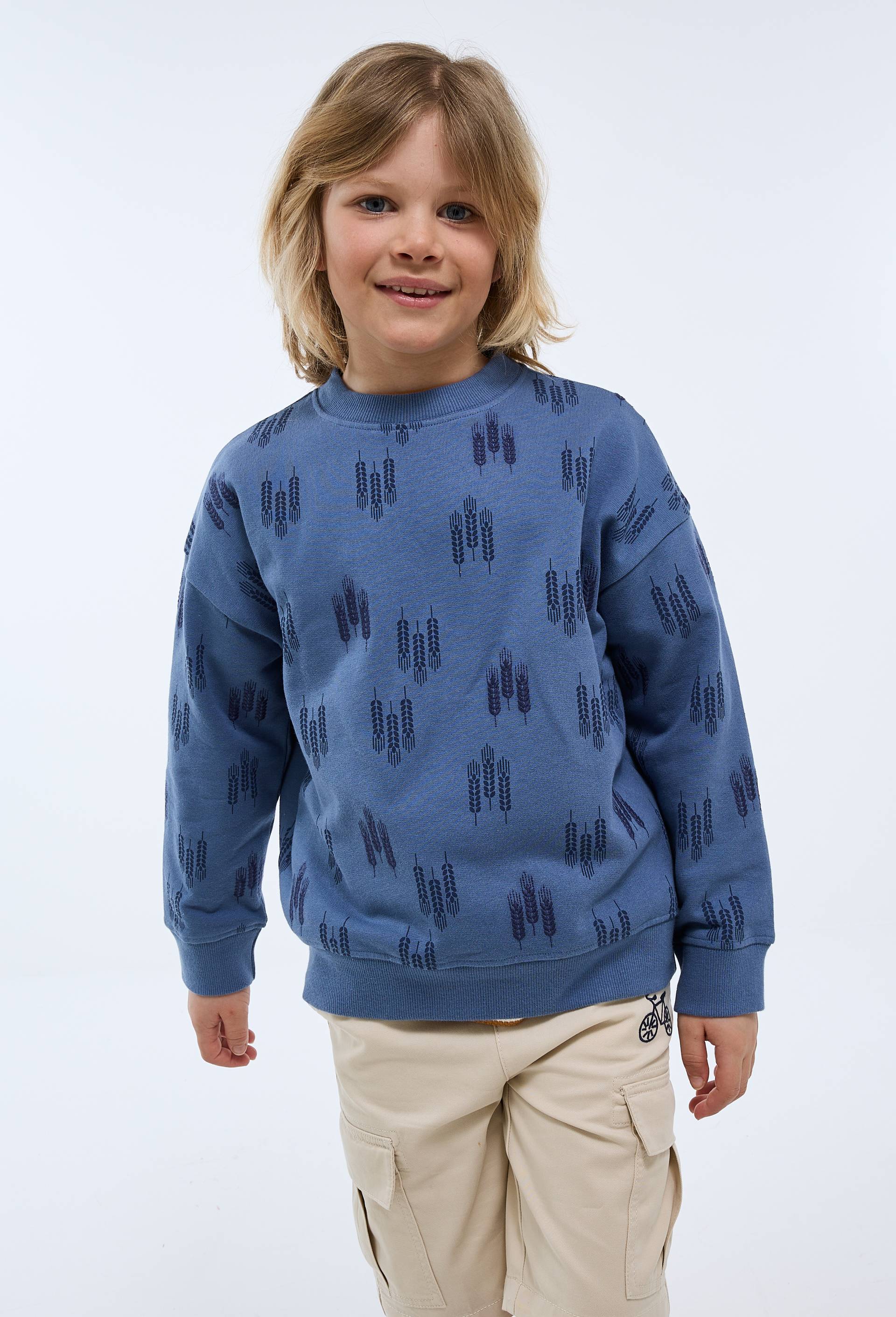 Sweat col rond imprim&eacute; en coton BIO GOTS, Bleu, large image number 1