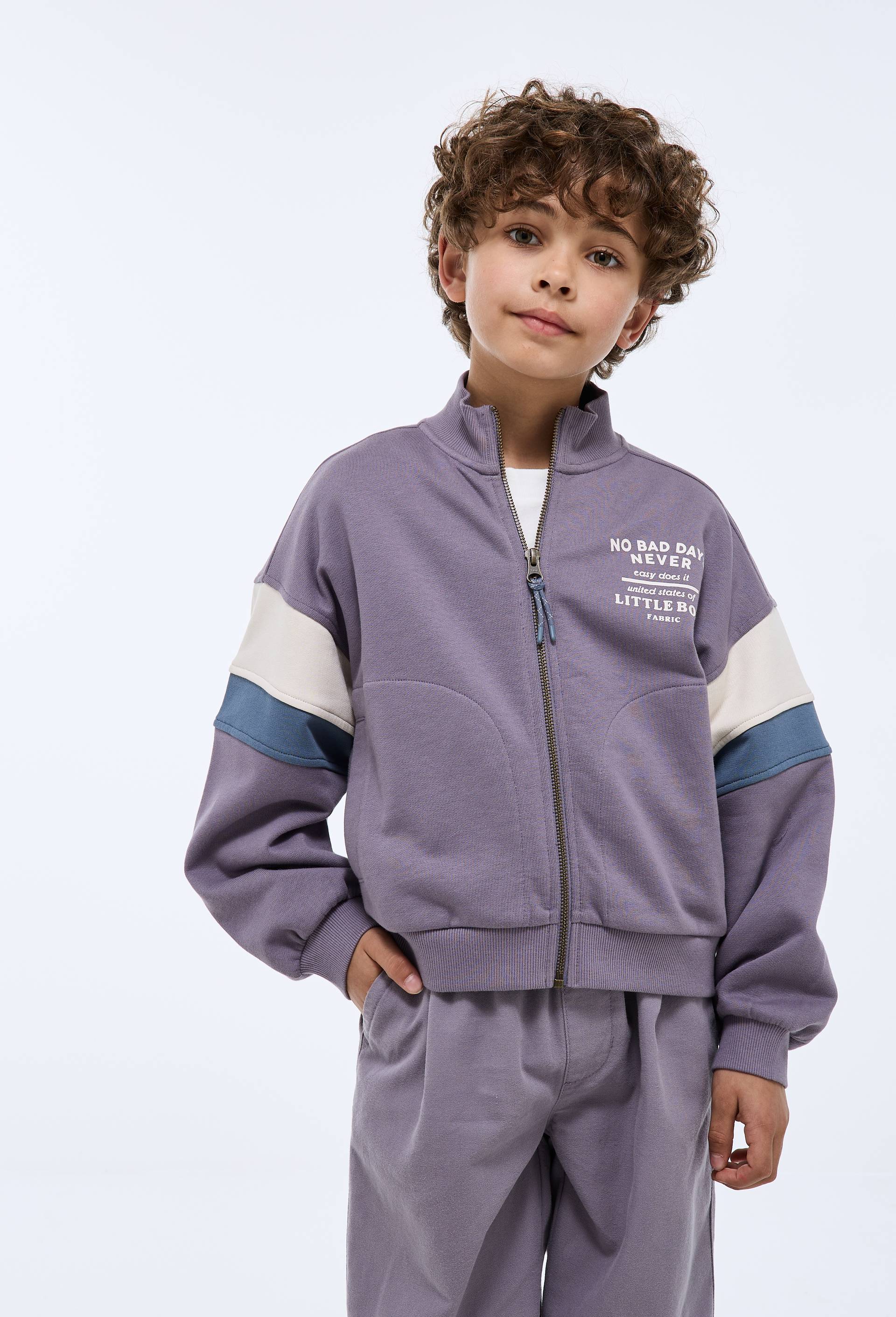 Sweat zipp&eacute; uni en coton GOTS, Violet, large image number 1
