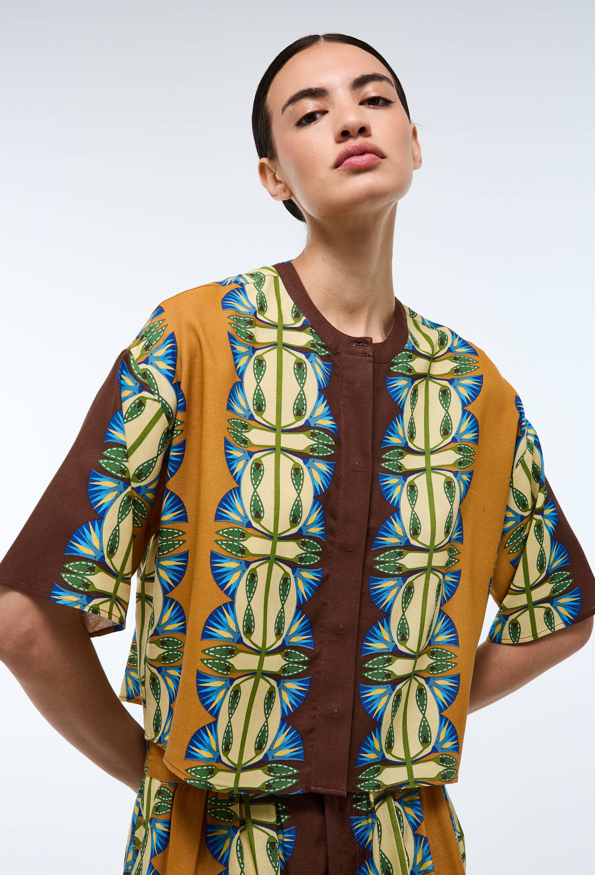 Chemise imprim&eacute;e contenant du lin - LOUIS BARTHELEMY x MONOPRIX, Brun, large image number 0.0