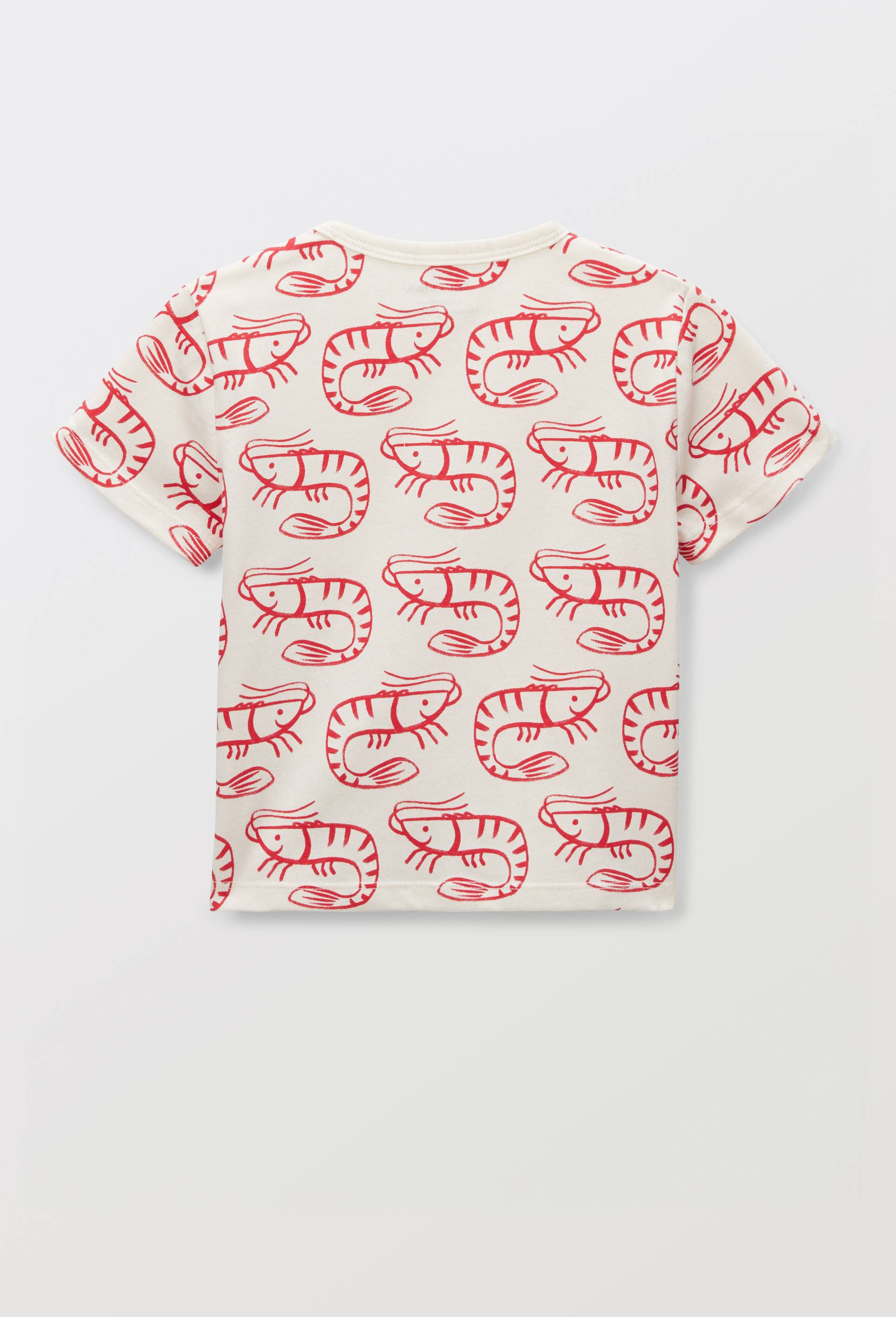 T-shirt manches courtes imprim&eacute; en coton BIO GOTS, Orange fonc&eacute;, large image number 1.0