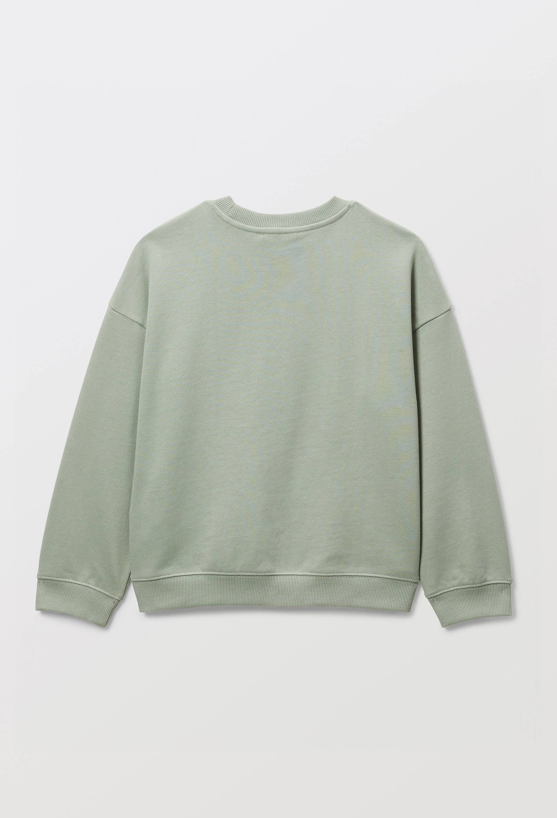 Sweat col rond imprim&eacute; en coton BIO GOTS, Vert clair, large image number 2