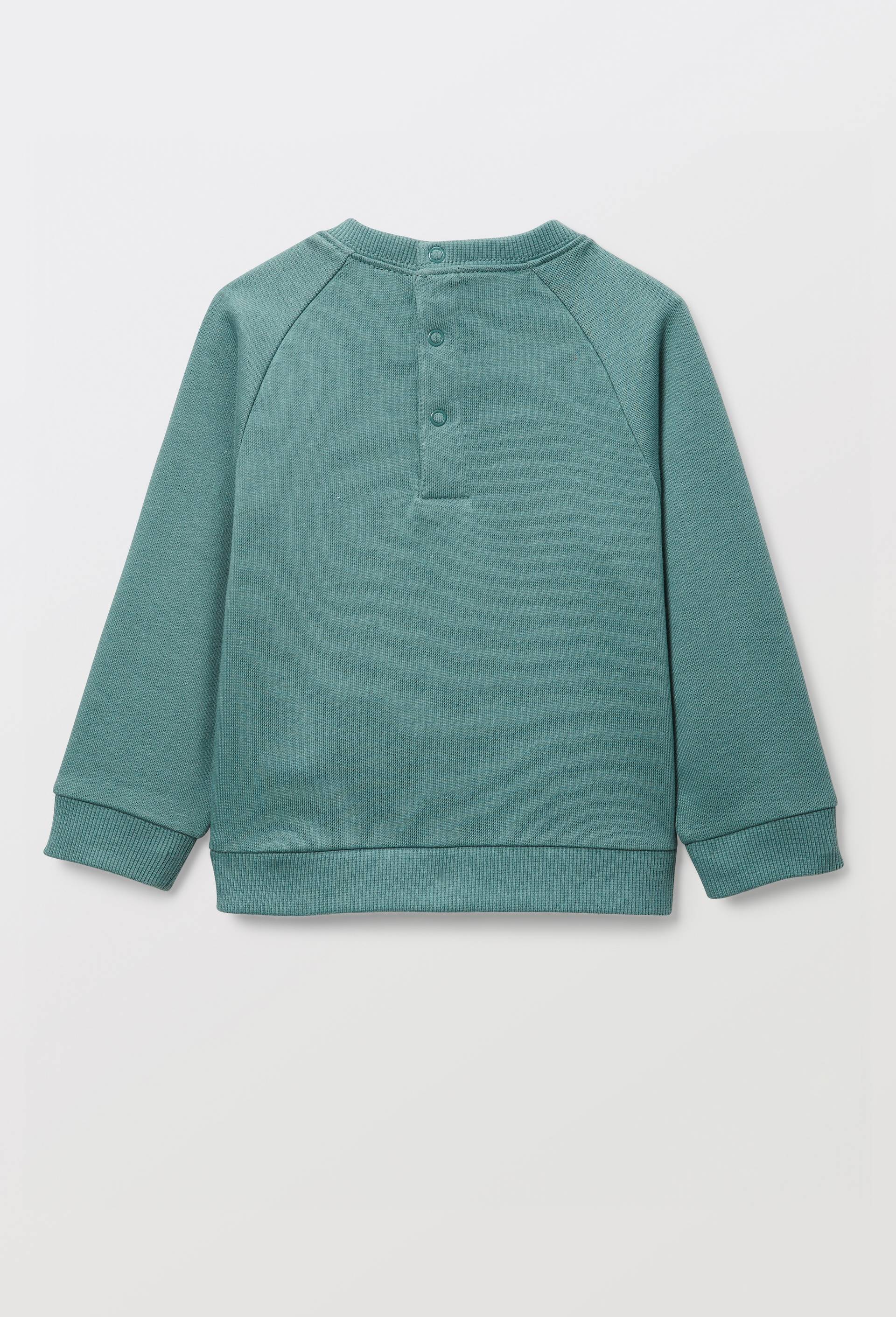 Sweat brod&eacute; en coton BIO GOTS, Vert, large image number 2.0