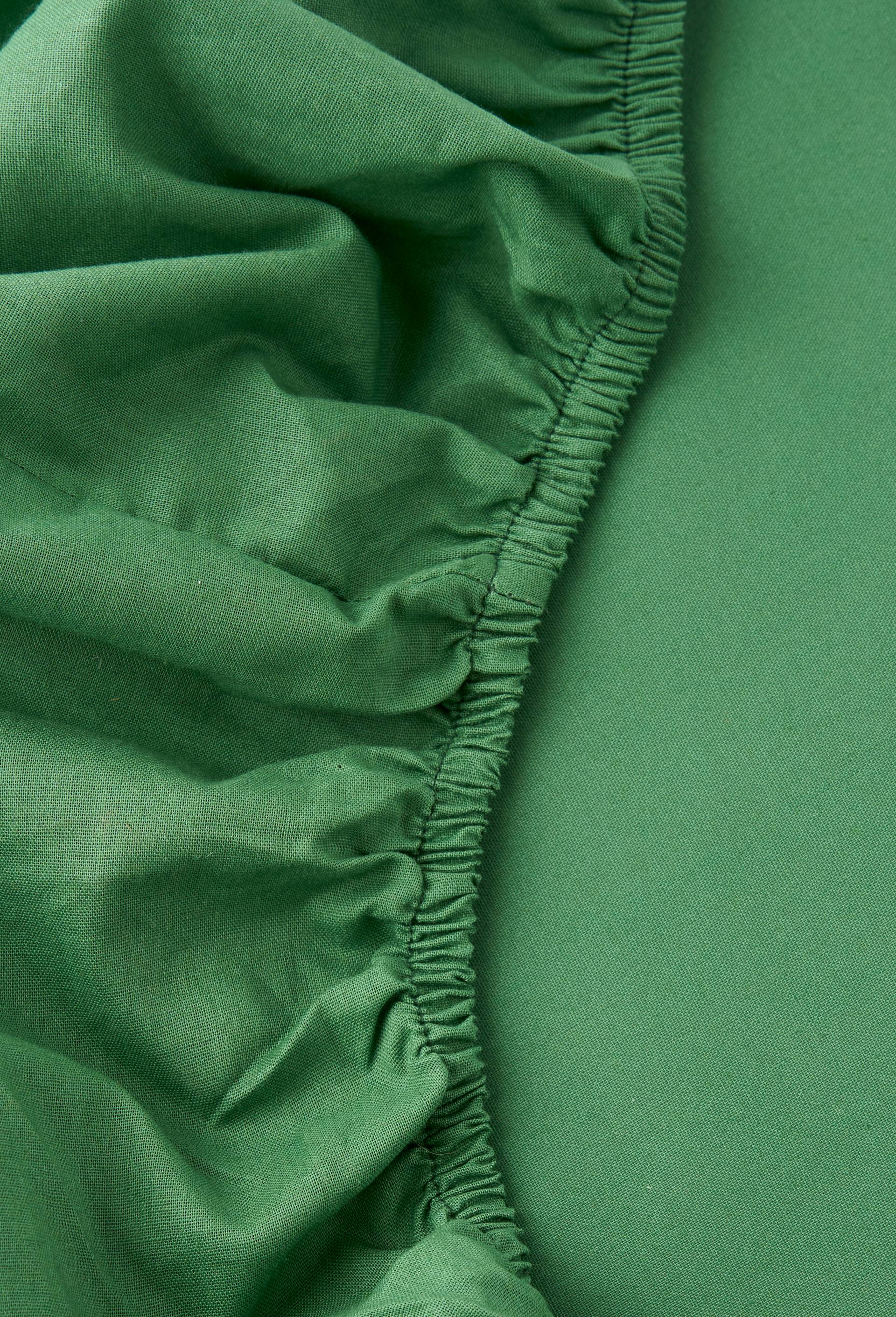 Drap housse uni, 160x200cm, 100% coton bio 57 fils, gots, Vert, large image number 1.0