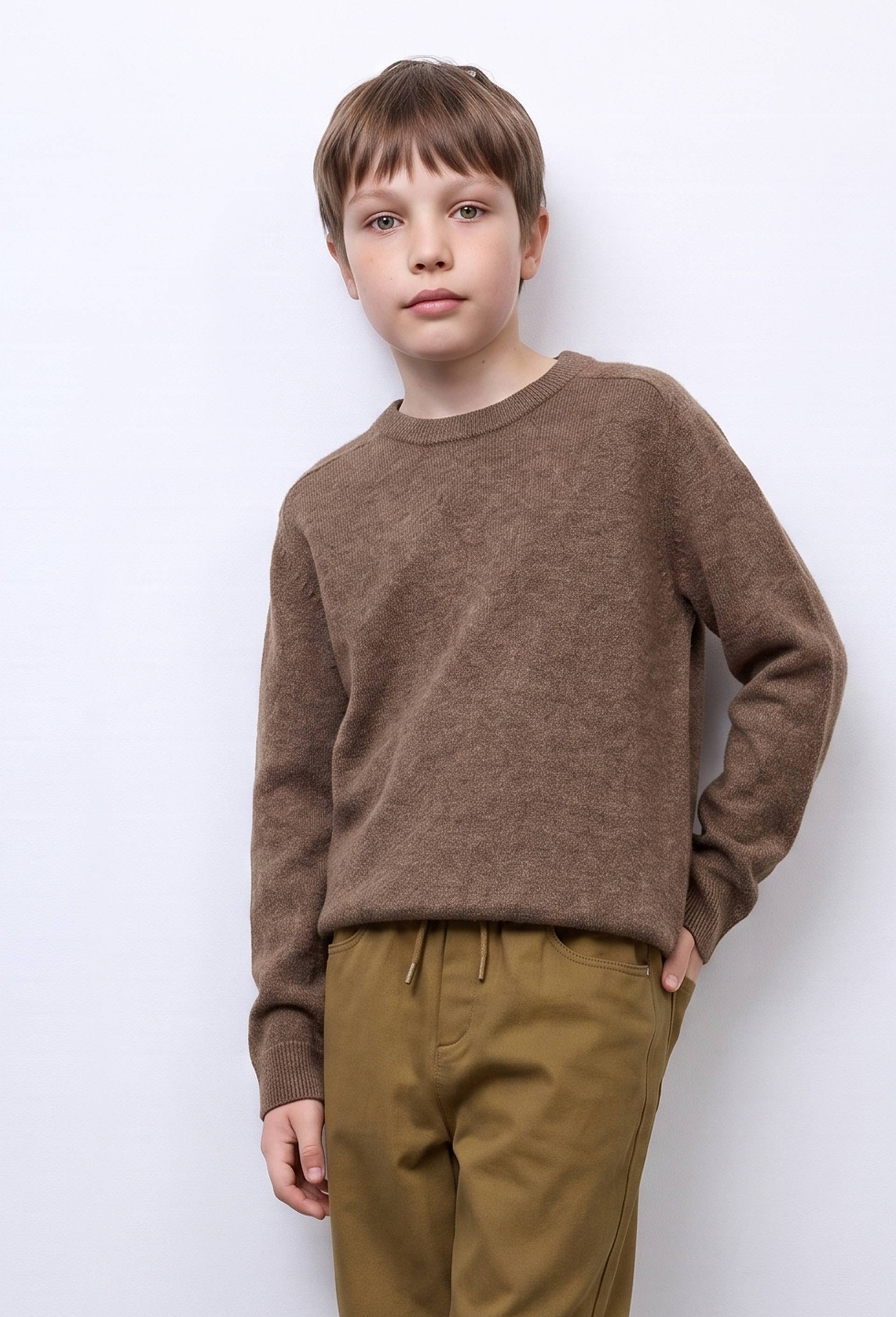 Pull uni col rond en 100% cachemire, Brun, large image number 0.0