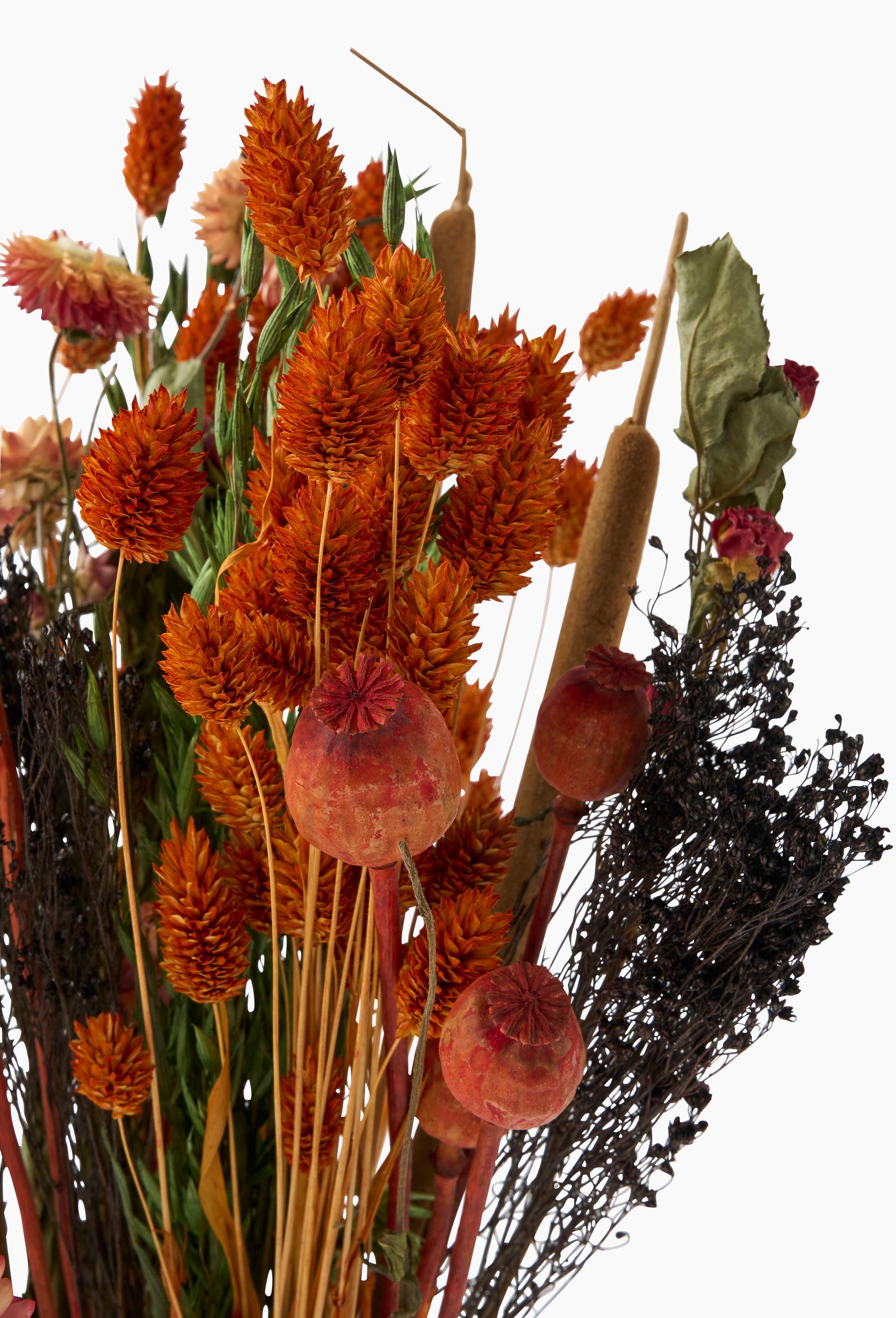 Grand bouquet de fleurs s&eacute;ch&eacute;es orange et rouge, 50*30cm, Orange, large image number 1