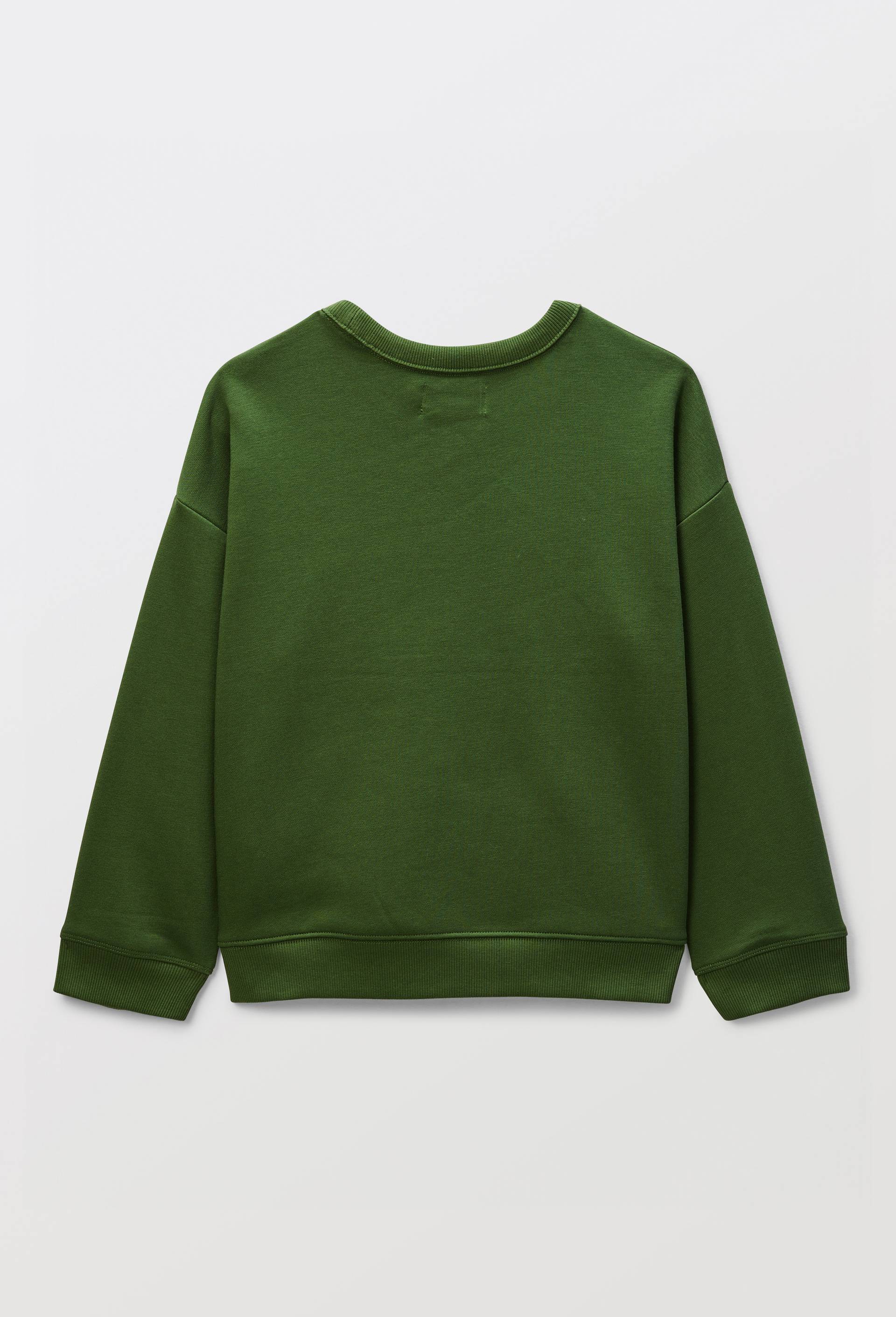 Sweat imprim&eacute; en coton BIO GOTS, Vert, large image number 1