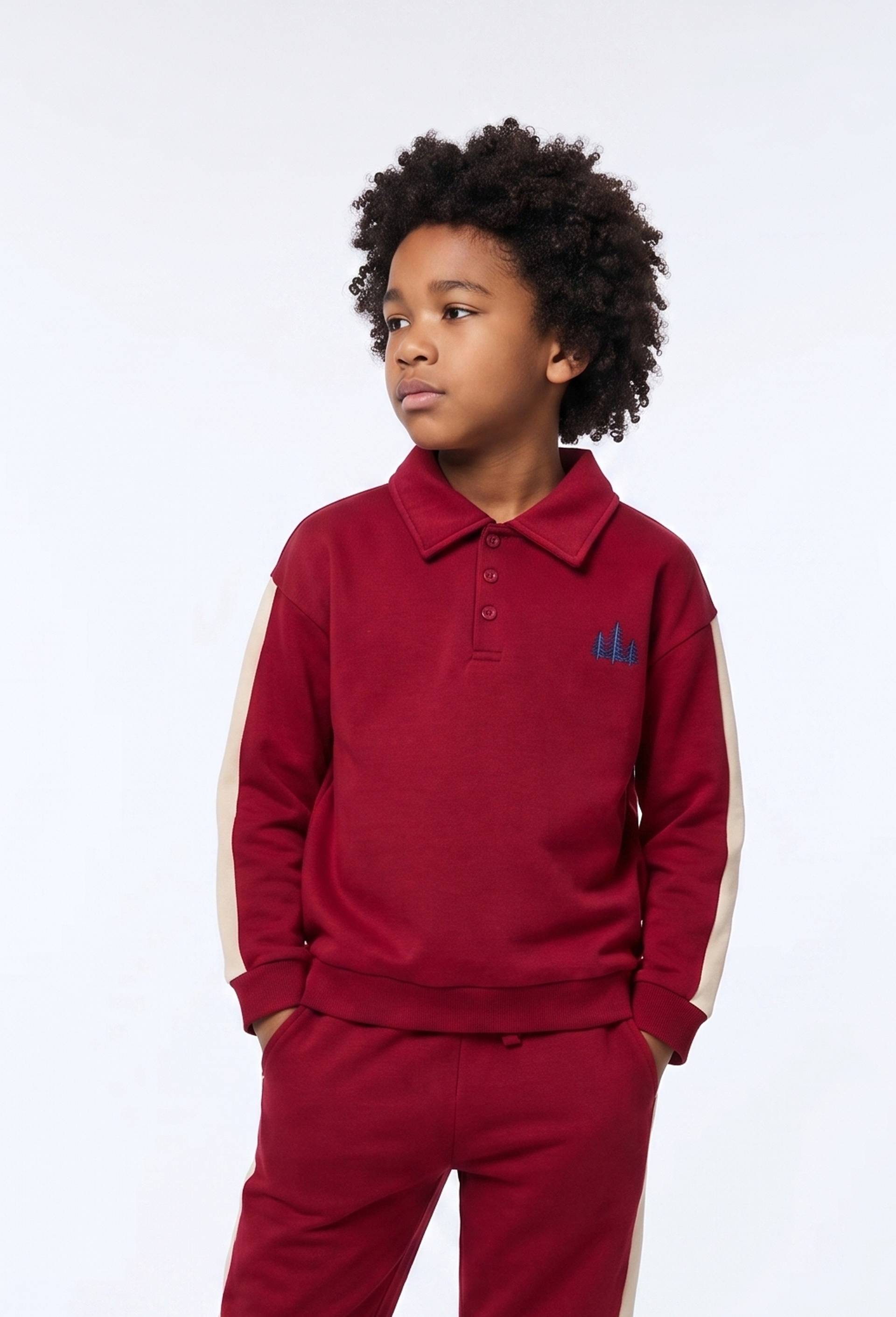 Polo manches longues, BIO, Rouge fonc&eacute;, large image number 0.0