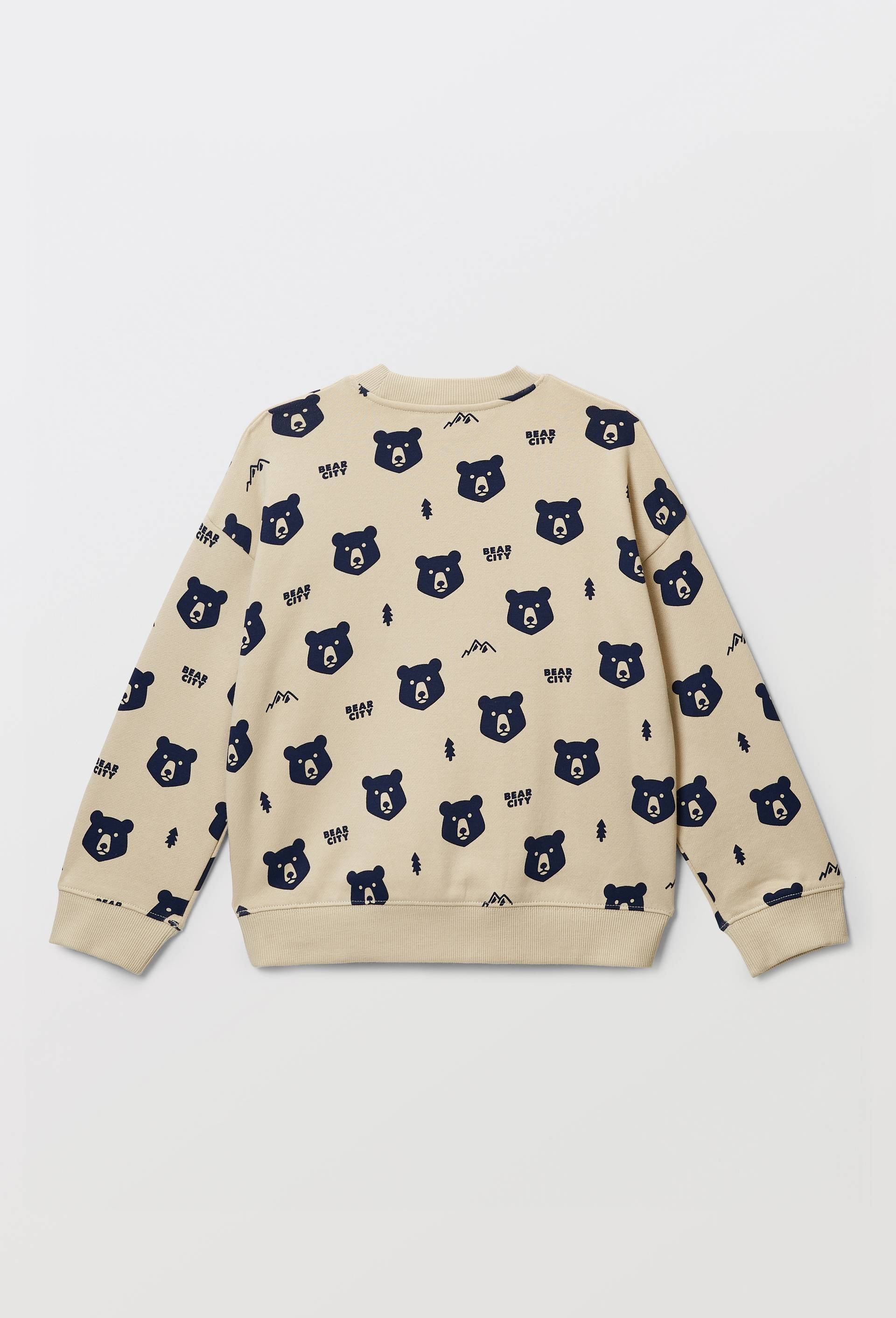 Sweat col rond imprim&eacute; en coton BIO GOTS, Beige, large image number 1.0