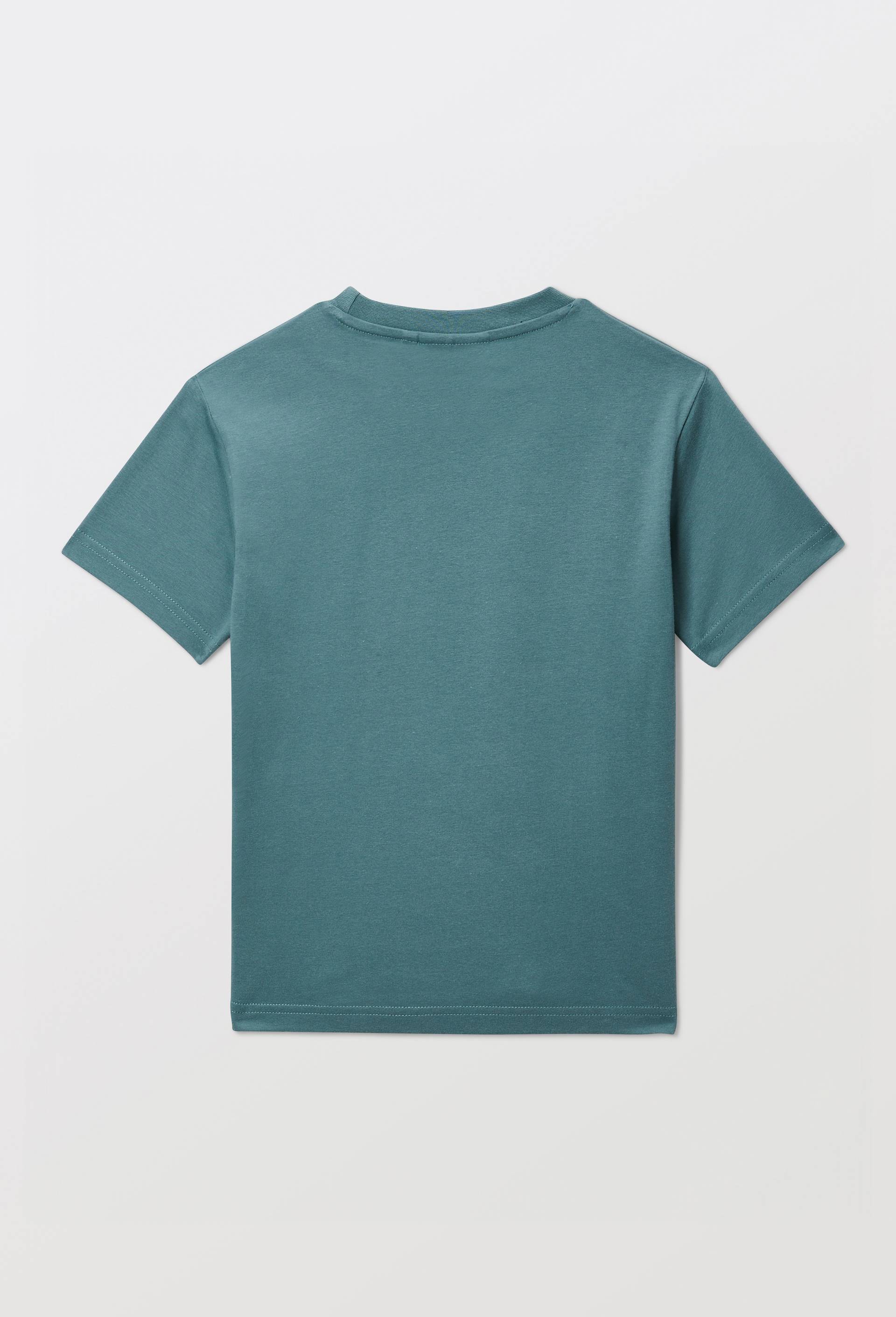T-shirt MARIO KART manches courtes imprim&eacute; en coton BIO GOTS, Vert, large image number 3.0