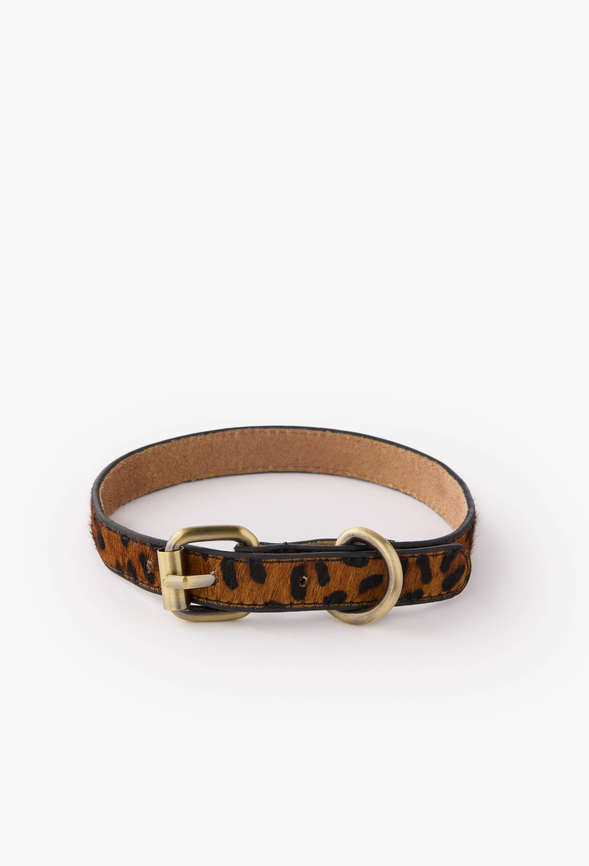 collier l&eacute;opard pour chien, D13x1.5cm, Beige, large image number 0