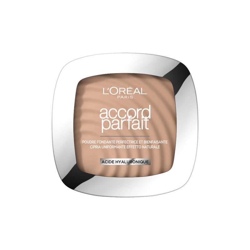 Accord parfait poudre fondante perfectrice, 4.N Beige, large image number 0.0