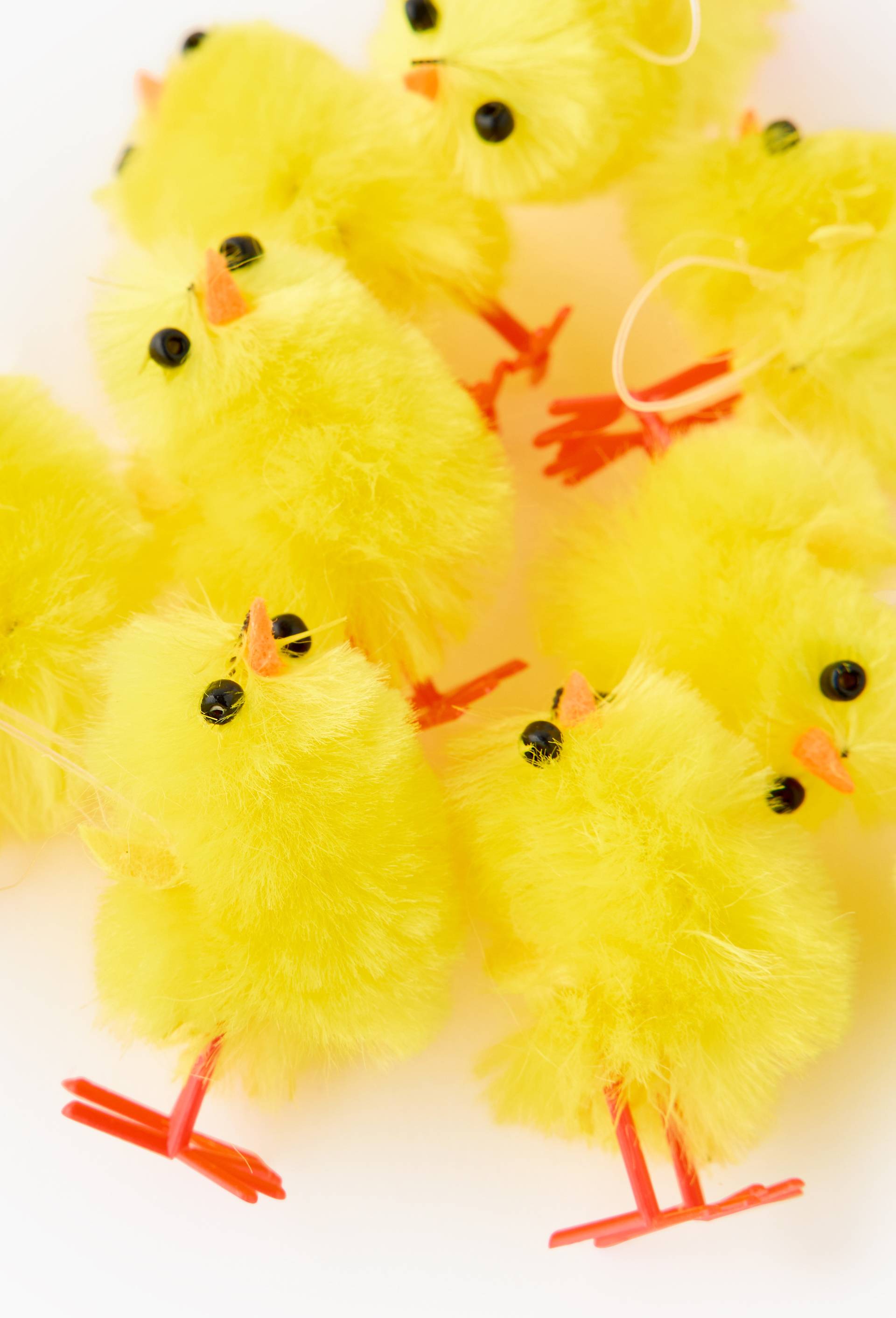 Poussins chenille de soie 2,5 cm x 12 pcs, , large image number 1