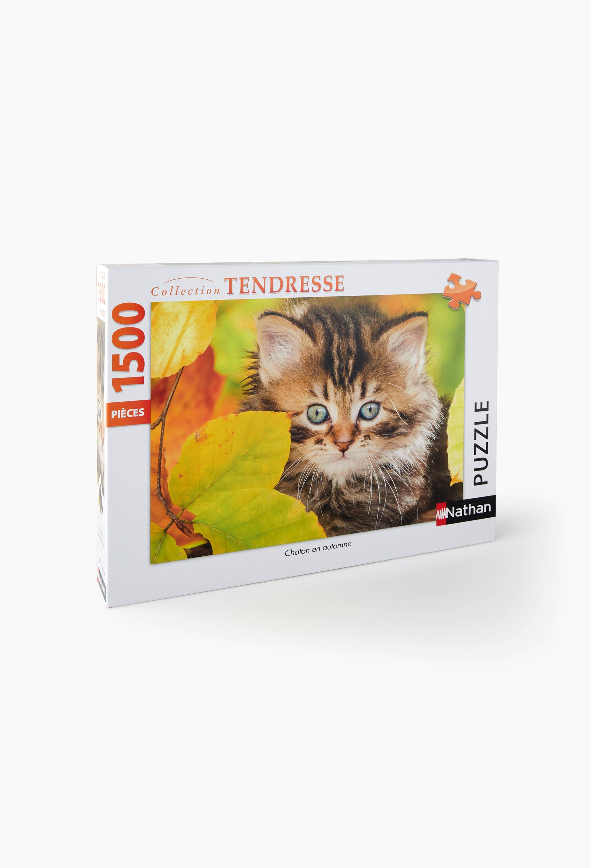 [EXCLU WEB] Puzzle Chaton en automne, , large image number 0.0