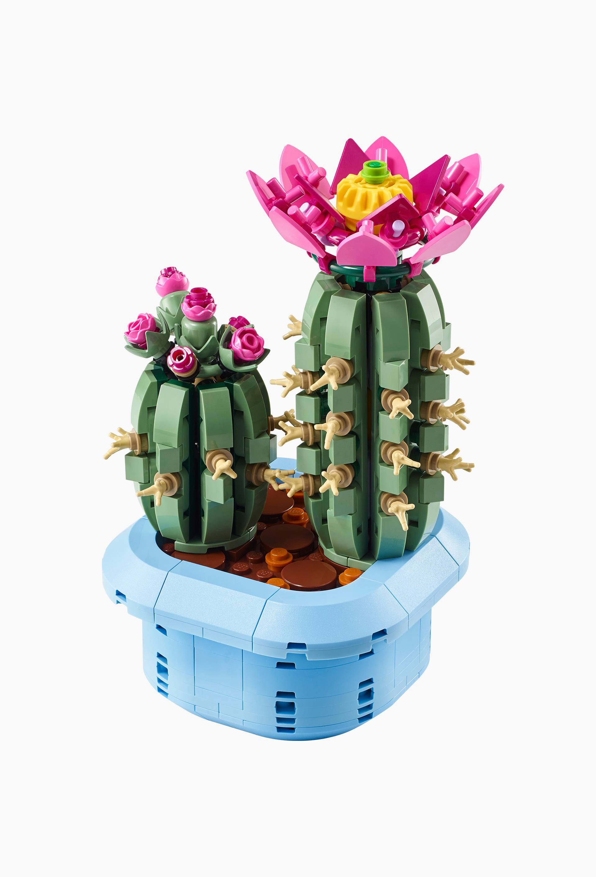 cactus fleuri, , large image number 0.0