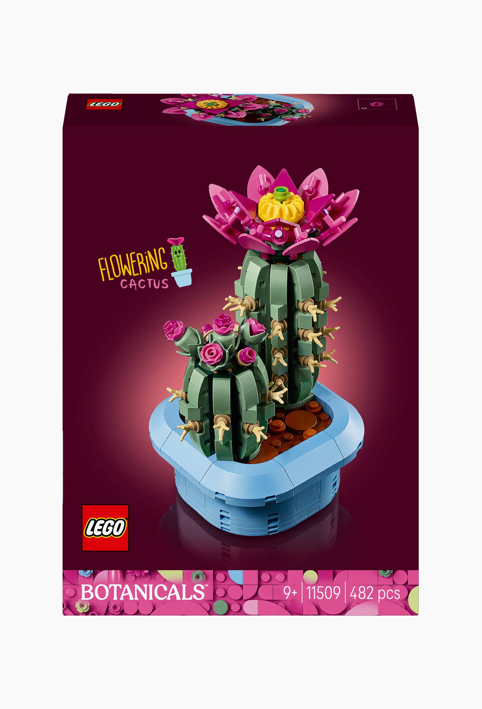 cactus fleuri, , large image number 1