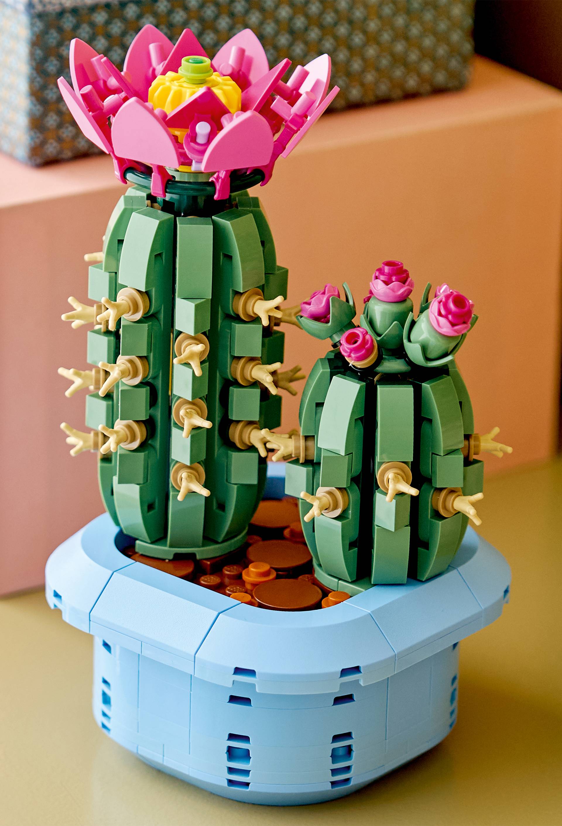 cactus fleuri, , large image number 2