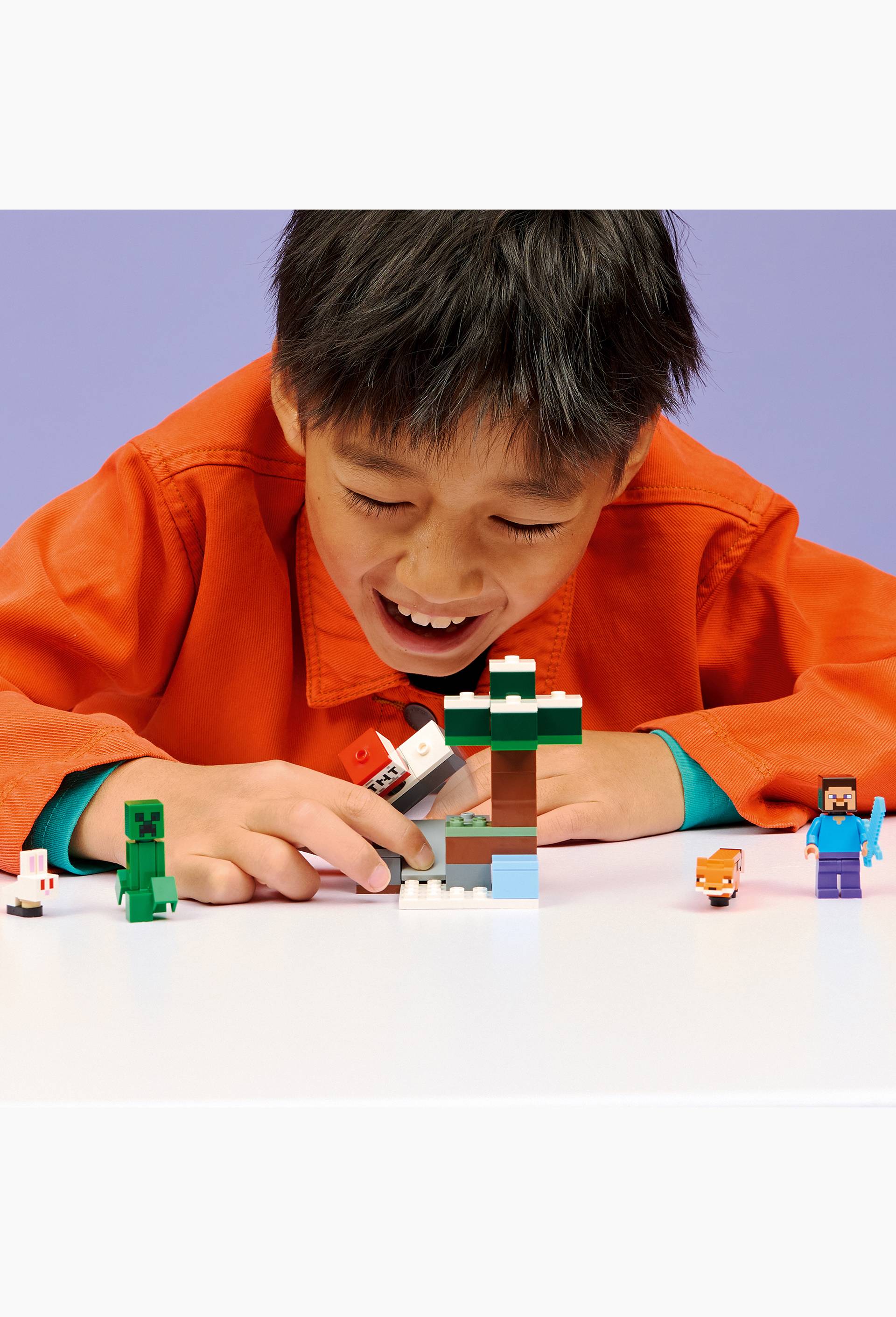 21583 - Les aventures de Steve dans la ta&iuml;ga LEGO&reg; Minecraft, , large image number 2