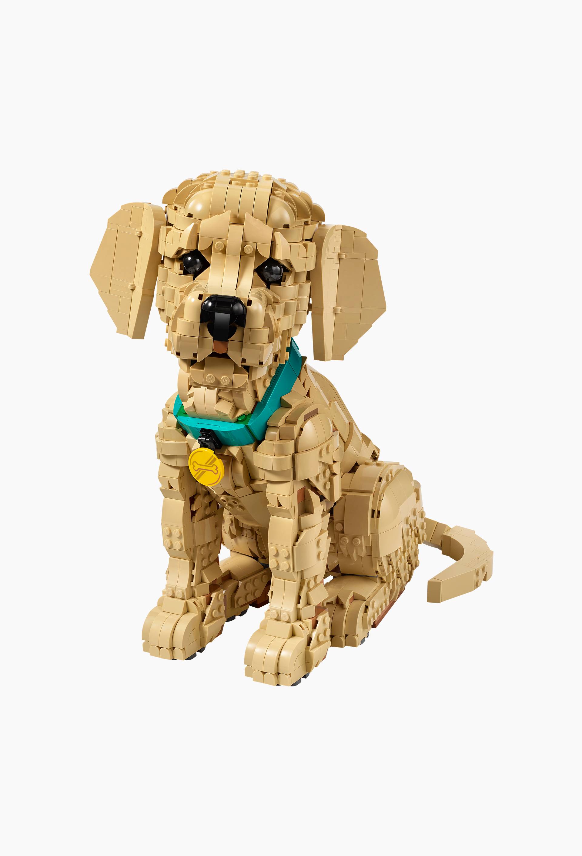 LE CHIOT GOLDEN RETRIEVER, , large image number 0.0