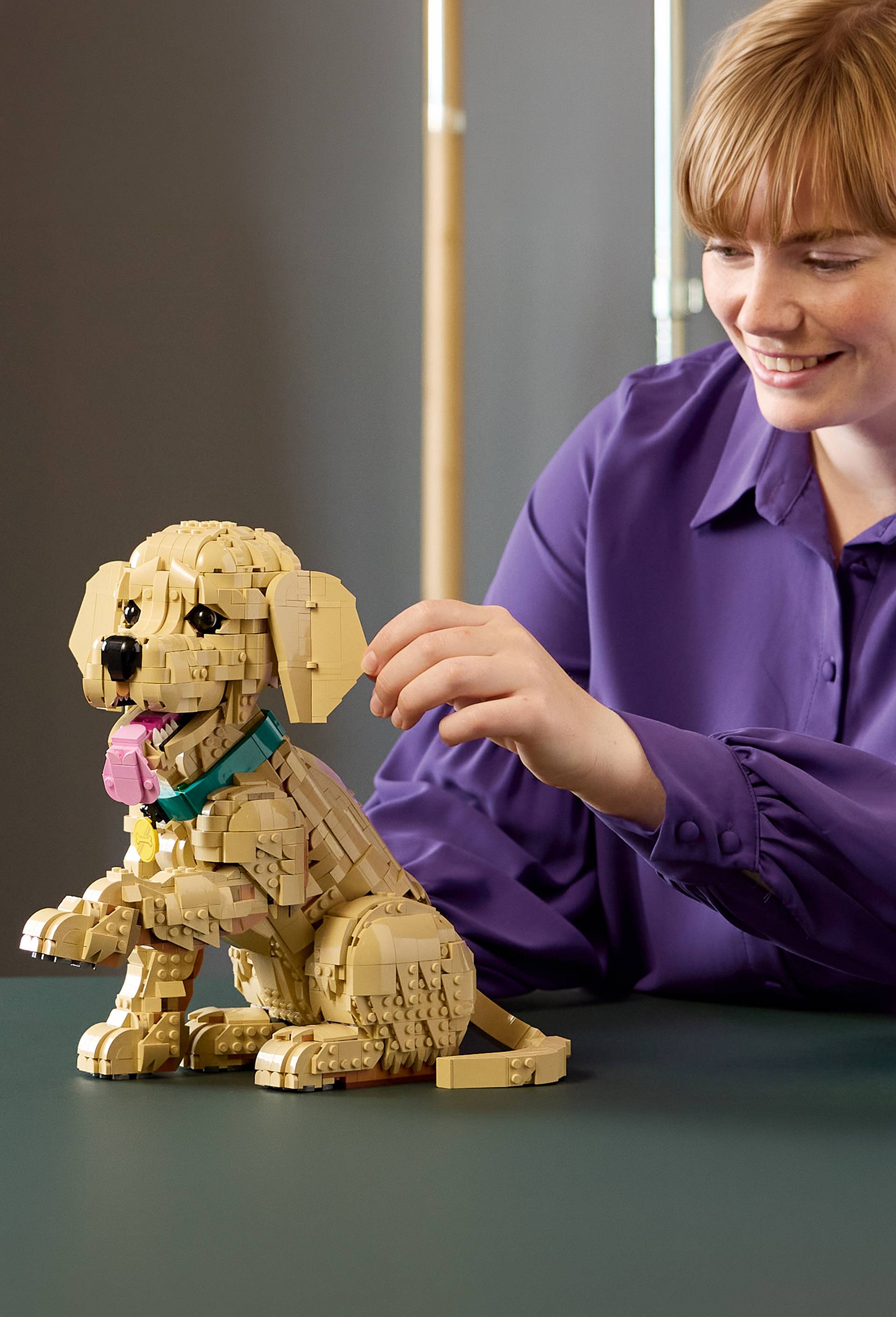LE CHIOT GOLDEN RETRIEVER, , large image number 2.0