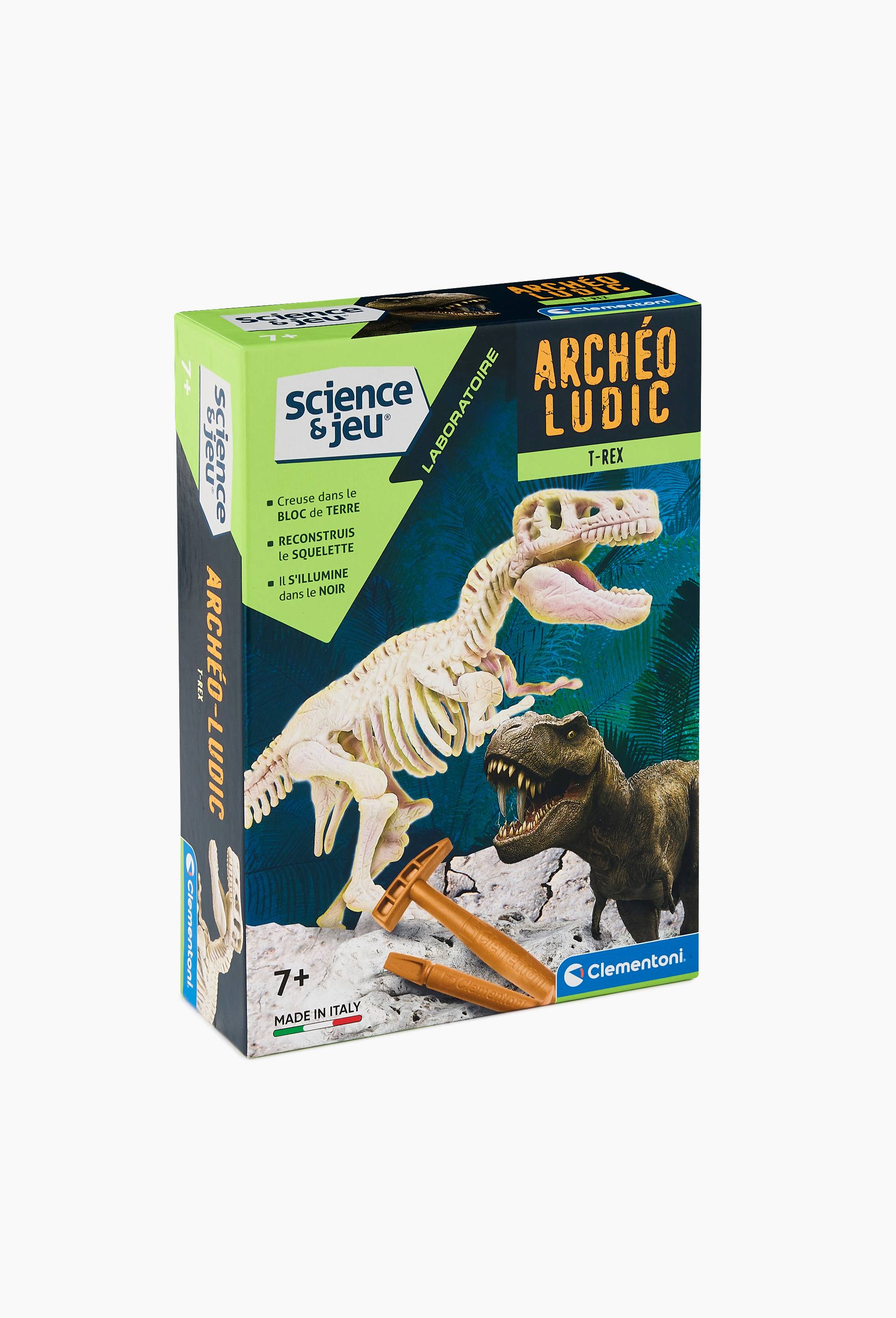 Archeo ludic Trex et Triceratops, , large image number 1
