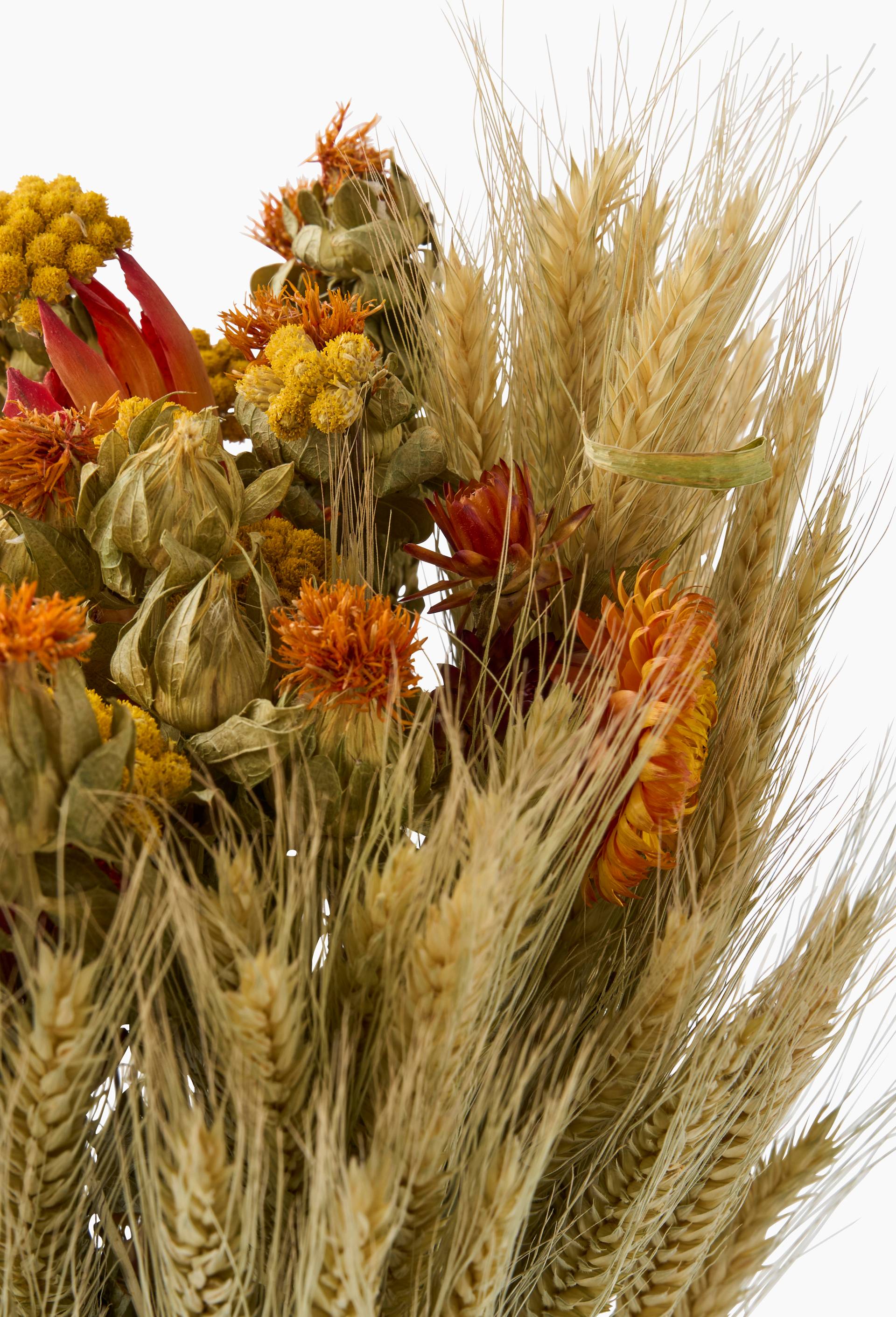 Bouquet de fleurs s&eacute;ch&eacute;es mix orange, , large image number 1.0