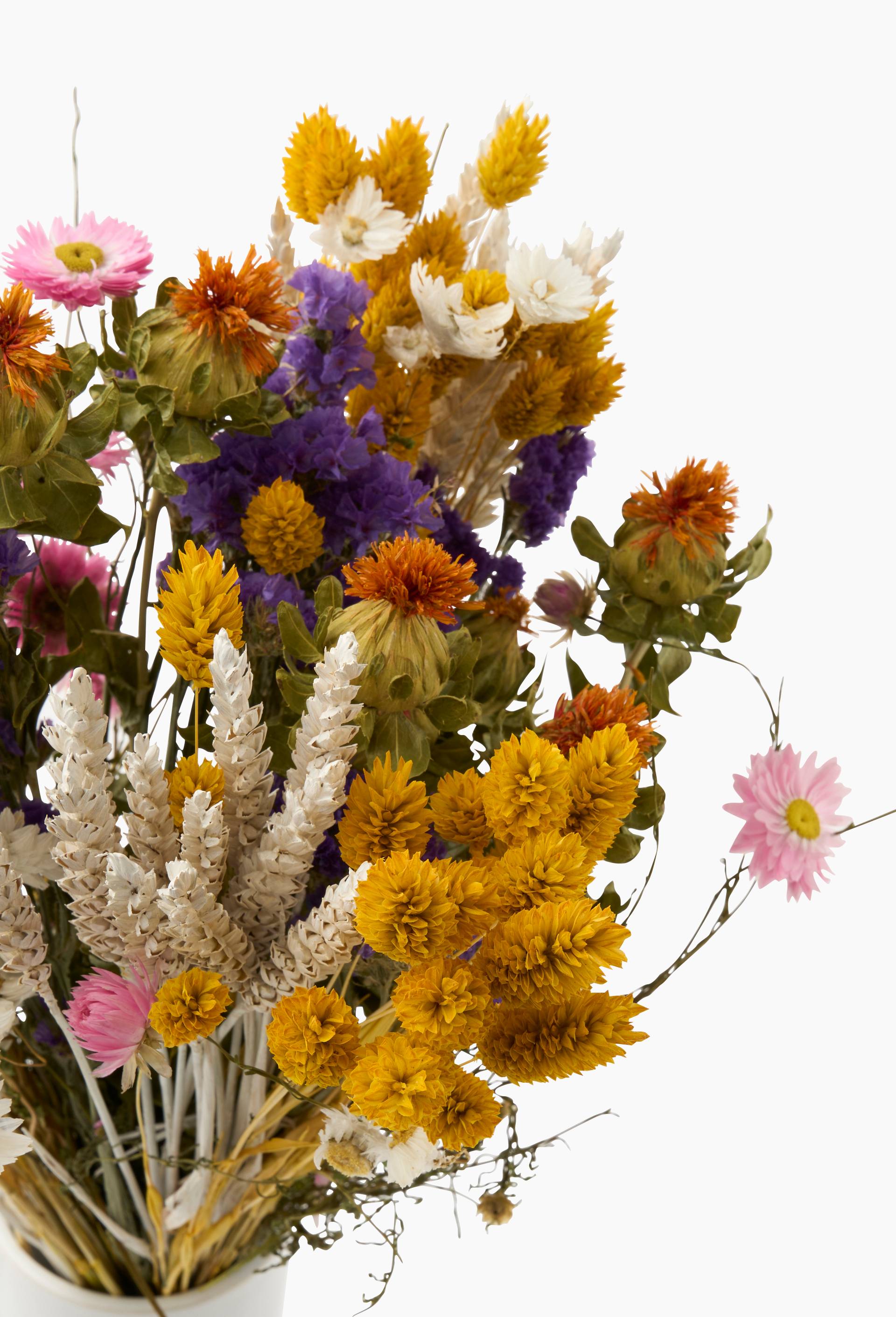 Bouquet de fleurs s&eacute;ch&eacute;es, taille XL, , large image number 1